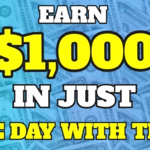 Earn $1,000 IN A SINGLE DAY WITH PROOF