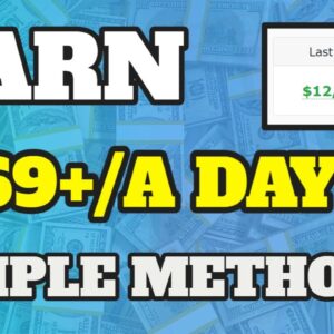 Make Money Online & Earn $169 Using This SIMPLE METHOD